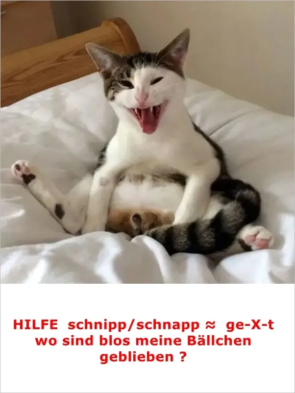 schnipp1.webp